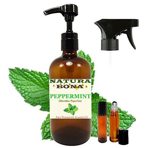 Peppermint Essential Oil 16 oz Spray / Pump in Amber Glass Bottle with 2 7ml ...