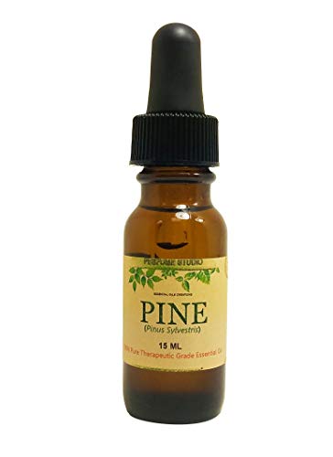 Pine Needle Essential Oil. Therapeutic Grade 100% Oil in a 15 ml Amber Glass Dropper Bottle (Pinus sylvestris L Premium Grade Aromatherapy Essential Oil)