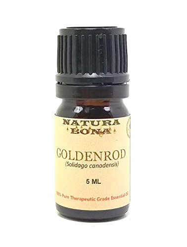 Goldenrod Essential Oil (Solidago canadensis) 100% Pure Therapeutic Grade Organic; 5 ml