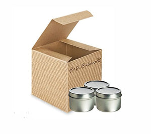 3 Pcs, Tin Deep High Quality Container 2 Oz with Cover - Use for Spices, Herbs and Condiments.