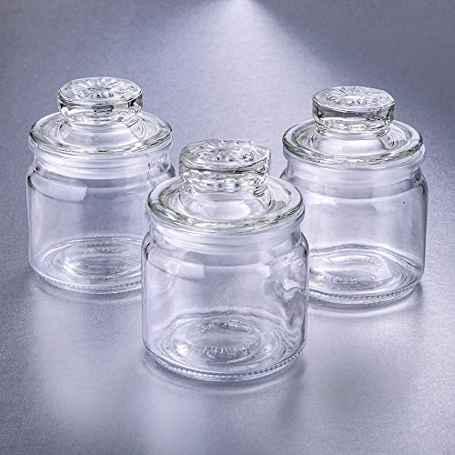 12 Perfectly Plain Classic Cookie Shaped Glass Jars w/Sealed Cover